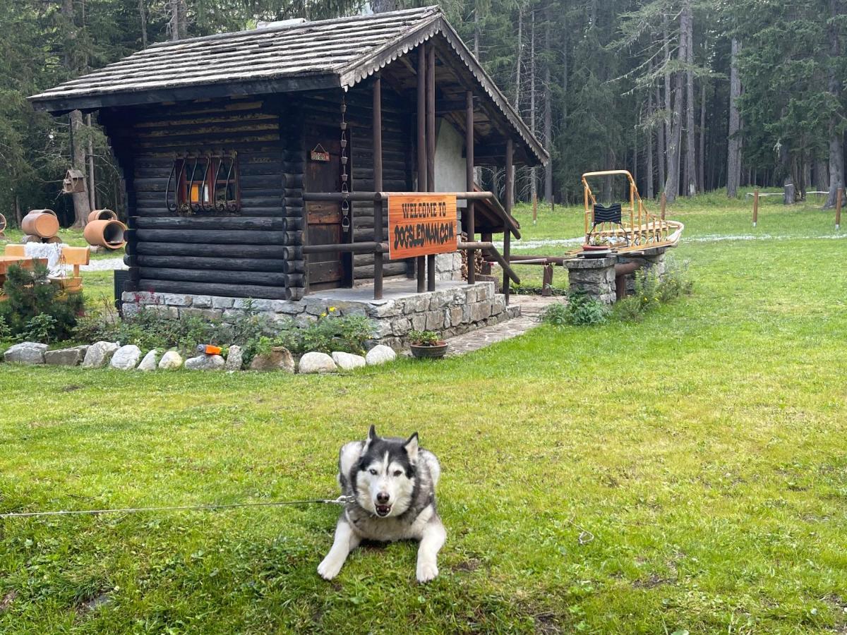 Wildhomes Wild Wolf Lodge Courmayeur Buitenkant foto