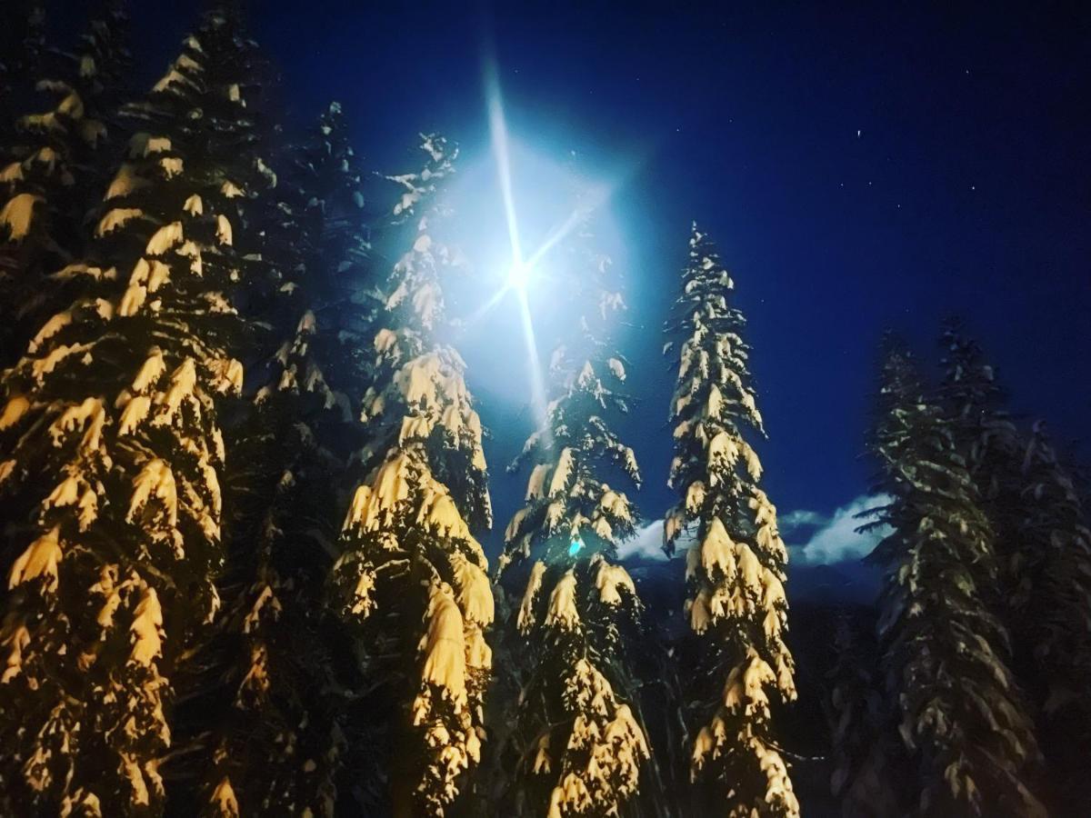Wildhomes Wild Wolf Lodge Courmayeur Buitenkant foto